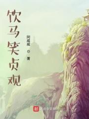 饮马笑贞观